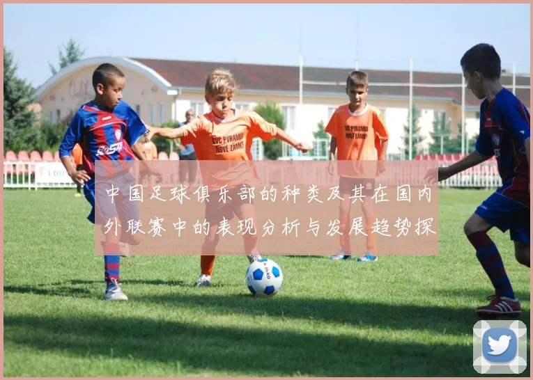 中国足球俱乐部的种类及其在国内外联赛中的表现分析与发展趋势探讨