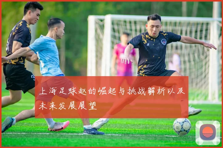上海足球赵的崛起与挑战解析以及未来发展展望