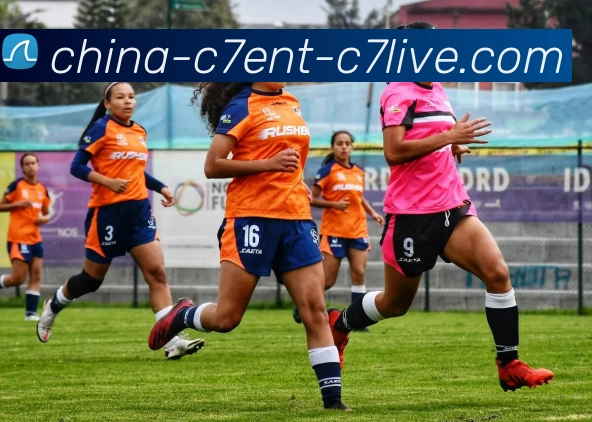 C7娱乐品牌故事